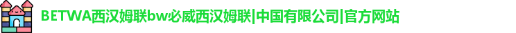 BETWA西汉姆联bw必威西汉姆联|中国有限公司|官方网站